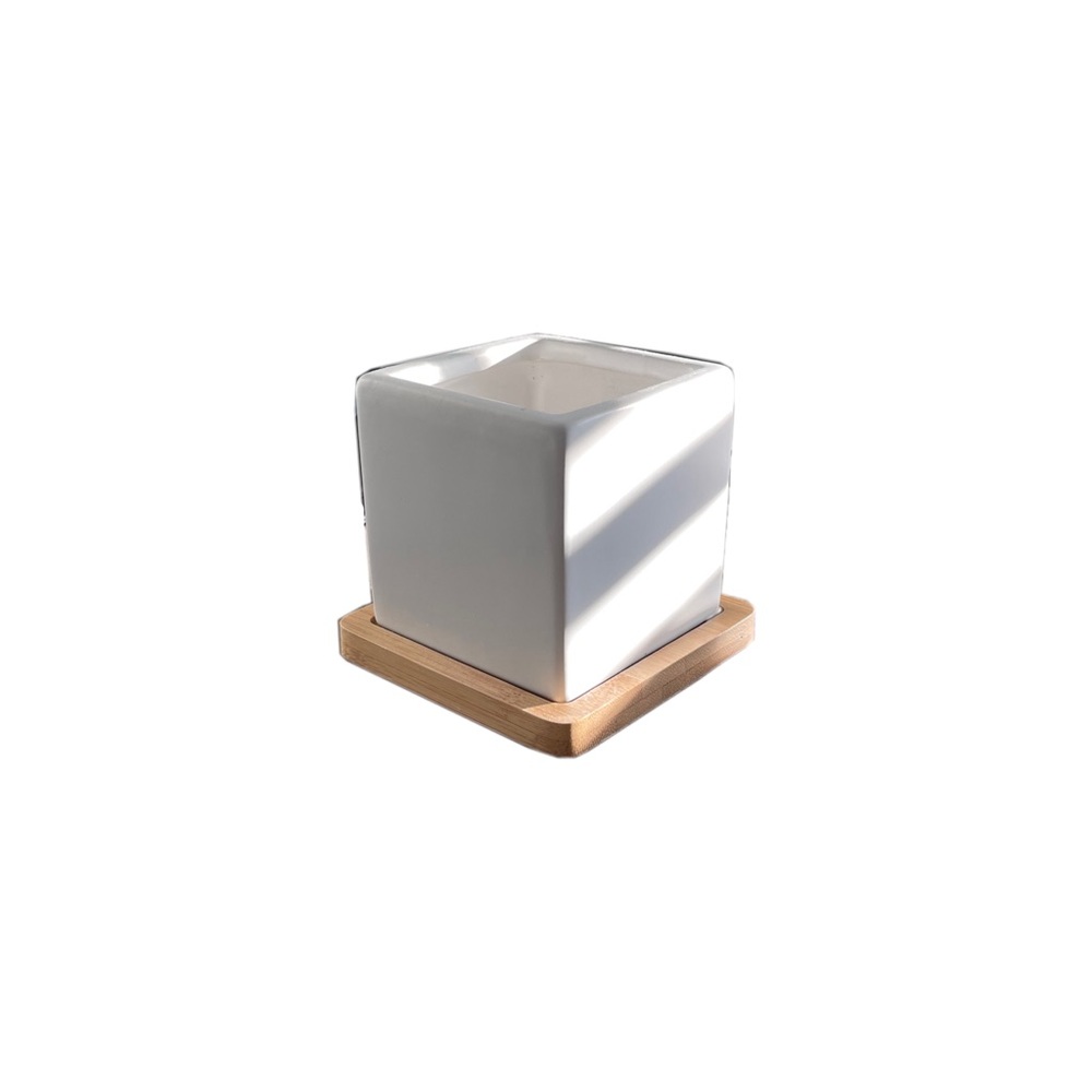 Small Plant Pot